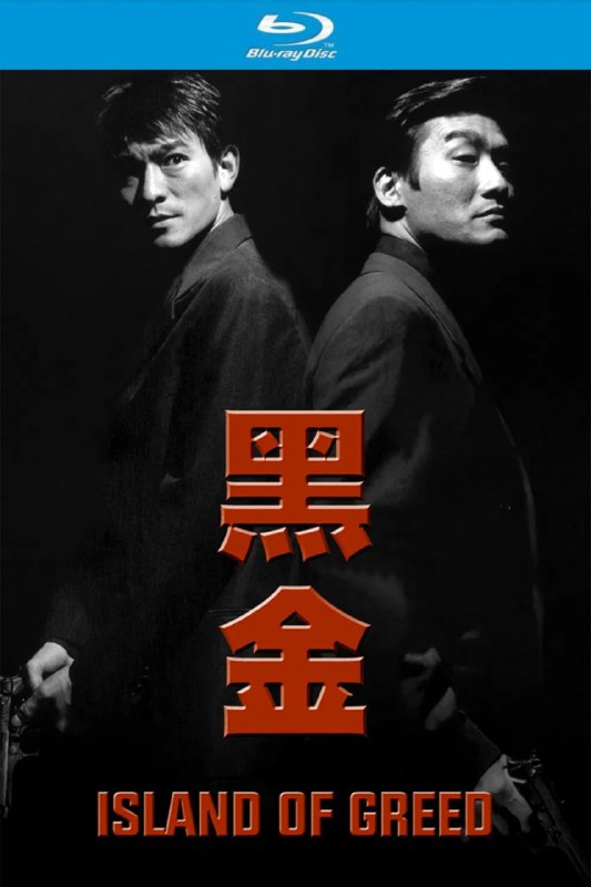 名称：黑金(1997)【蓝光原盘REMUX】【杜比环绕声国粤双音轨】内封简繁字幕 -无可描述：“原盘封装 无可出品”调查局机动组组长方国辉(刘德华饰)嫉恶如仇，监拍周朝先(梁家辉饰)电玩场时，获取其经营地下赌场证据并起诉