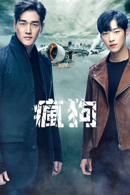 名称：疯狗 (2017) S01 1080p 内封简繁描述：KBS电视台保险犯罪题材新剧