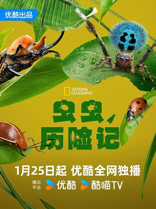 名称：虫虫历险记 A Real Bug's Life (2024) 5集完结 纪录片描述：灵感源自于迪士尼世界和皮克斯的《虫虫危机》