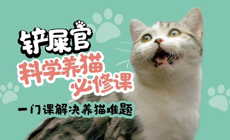 名称：铲屎君必备.猫咪训练视频描述：01 猫咪基础训练：零食偏好测试02 猫咪基础训练：玩具偏好测试03 猫咪基础训练：猫咪垫子训练04 猫咪基础训练：航空箱训练 1.005 猫咪基础训练：航空箱训练2.006 猫咪基础训练：室内唤回07 猫咪基础训练：玩具与游戏链接：