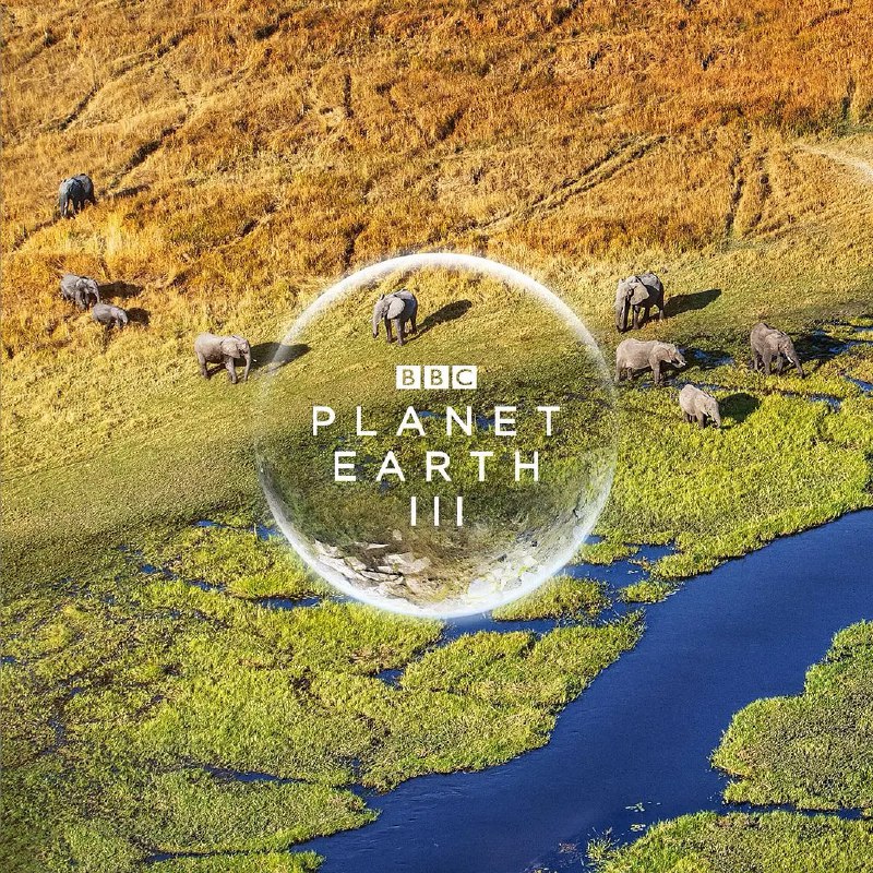 名称：地球脉动 第三季 Planet Earth (2023) 1080/4K 更6 描述：从海洋深处到最偏远的丛林，《地球脉动III》为经典巨制翻开崭新篇章，继续造访地球上众多令人称奇的栖息地，观众将跟随镜头探索这颗星球上最后的天然野境，领略野生动物进化出的绝妙生存策略
