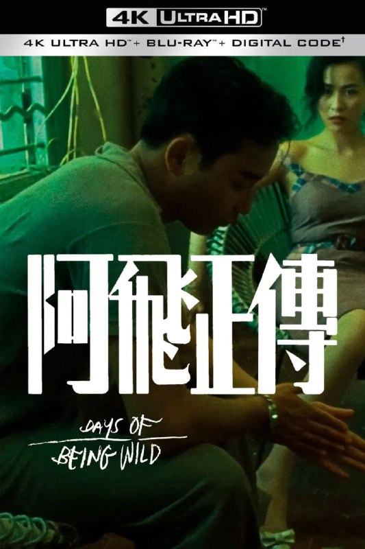 名称：阿飞正传 (1990) 【4K蓝光原盘REMUX】【杜比视界&次世代国粤双音轨】内封简繁英双语字幕 -无可描述：“原盘封装 无可出品”“世界上有一种鸟是没有脚的，它只可以一直的飞呀飞 ，飞得累了便在风中睡觉，这种鸟儿一辈子只可以下地一次，那一次就是它死的时候”六十年代香港，阿飞旭仔因生母缺席，自比 “无根鸟”，对售票员苏丽珍、舞女咪咪虽有感情却放荡