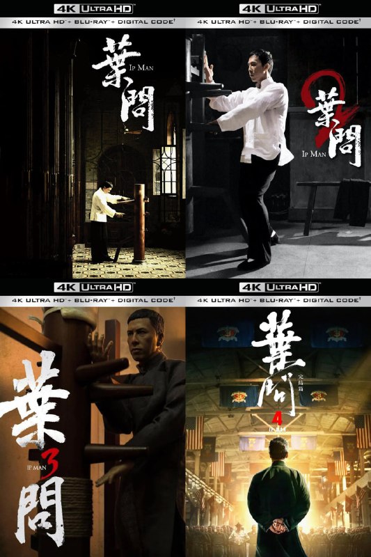 名称：叶问 1-4合集【4K蓝光原盘REMUX】【杜比视界&杜比全景声国粤双音轨】内封简繁字幕 -无可描述：“原盘封装 无可出品”《叶问》系列电影共四部，是中国武术电影的经典之作