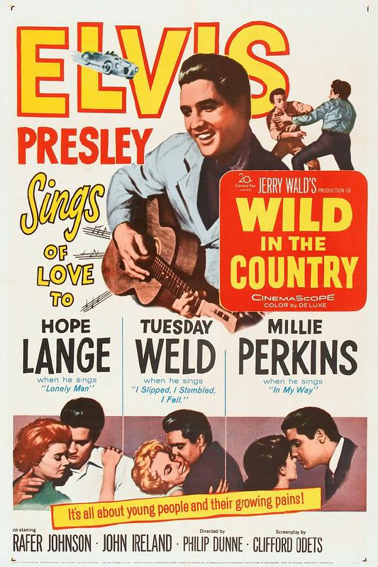 名称：乡间野趣 Wild in the Country (1961) 1080p 原盘Remux 【19.40GB】已刮削描述：GlenTyler(ElvisPresley),adownonhisluckyoungman,issenttocounselorIreneSperry(HopeLange)tobeginbattlinghispersonaldemons.Whileunderhertutelageaflairforwritingemerges.Cansheguidehimdowntherightpathorwillherinterferenceleadtohisdemise?别名：田园春色链接：