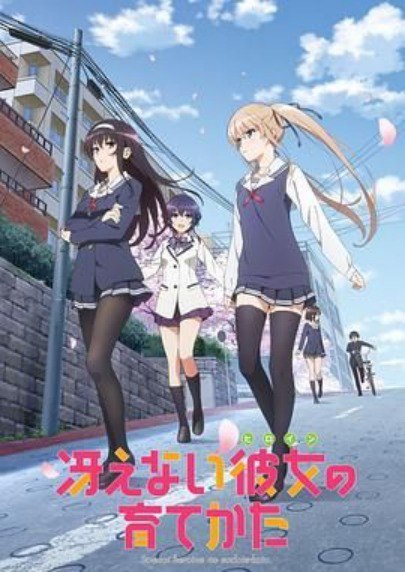 名称：路人女主的养成方法 Saenai Heroine No Sodatekata完整合集(第一期+第二期+剧场版)描述：外表平凡的安艺伦也（松冈祯丞配音）是一个标准的御宅族，对ACG文化十分着迷的同时，亦是同时游戏社团的制作人