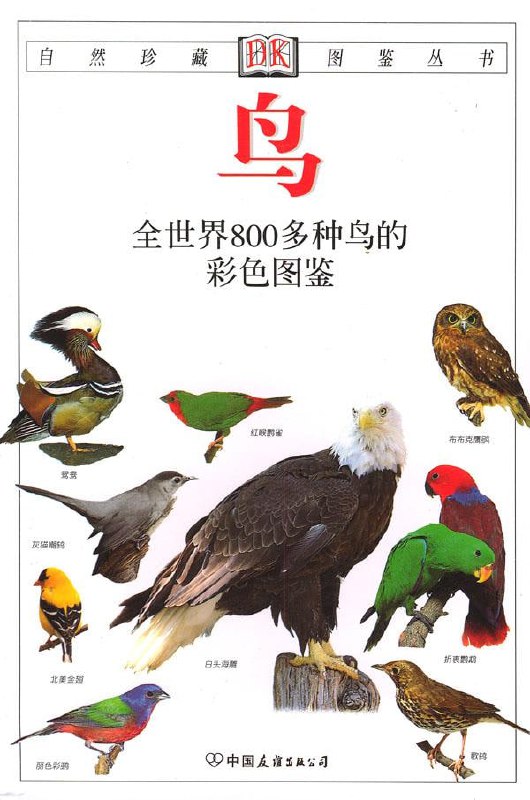 名称：《鸟：全世界800多种鸟的彩色图鉴》描述：《鸟：全世界800多种鸟的彩色图鉴》是一部由（英）科林·哈里森与艾伦·格林史密斯合著，丁长青翻译的权威鸟类图鉴