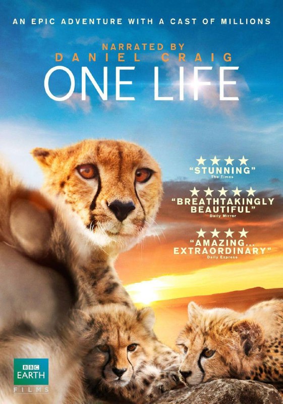 名称：OneLife描述：BBCEarth纪录片OneLife，中文译名：地球生灵，是BBCEarth、BBCNaturalHistoryUnit制作的一部自然纪录片，采用4K超高清摄影、高速摄影、微距摄影，拍摄地点全球超过20个国家，包括非洲草原、南极冰川、亚马逊雨林等，拍摄周期3年(2008-2011)，展现地球上不同生物为生存而奋斗的智慧与坚韧，强调生命的共通性