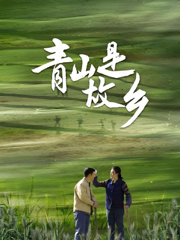 名称：青山是故乡(2025)【更12集】【1080P.HDR】【内嵌简中】【剧情/年代】描述：闯荡四方的董大林在北京农科院进修后，怀揣着梦想回到了家乡