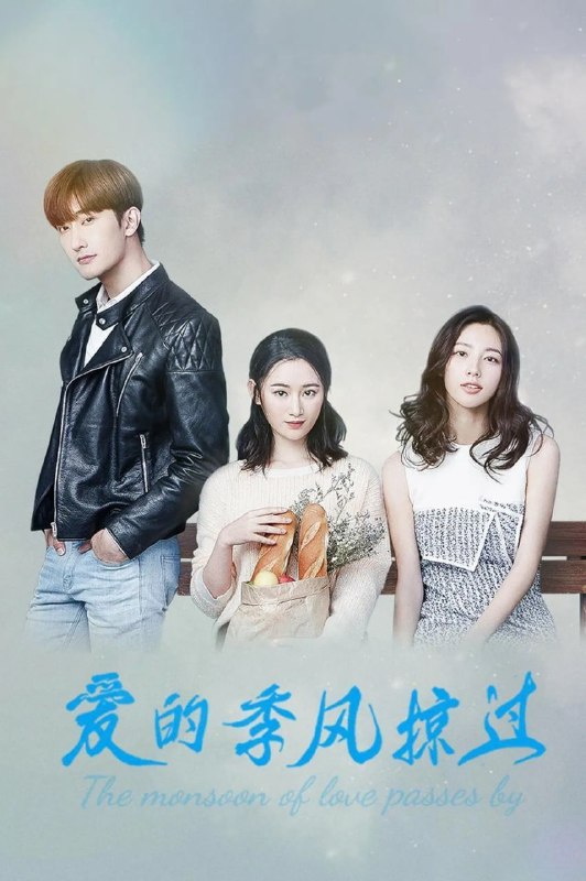 名称：爱的季风掠过 (2025)【更至21集】4K 60fps【单集1G】描述：江放歌在等候新婚爱人季风时，季风突发车祸，昏迷不醒后失踪，她的幸福戛然而止