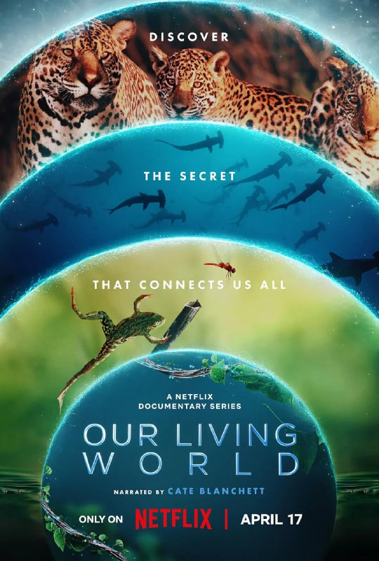 名称：我们的生物世界 Our Living World (2024) 4K描述：该纪录片系列为《全球绝美国家公园》艾美奖获奖班底最新力作，为你揭晓一个神秘的联系网络，这不仅聚集我们众人，也维系了地球上最神奇的现象：生命