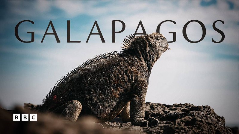 名称：Galapagos(加拉帕戈斯)描述：BBC纪录片《加拉帕戈斯》(Galapagos)是一部由英国广播公司(BBC)与探索频道(Discovery Channel)联合制作的自然历史纪录片，于2006年首播