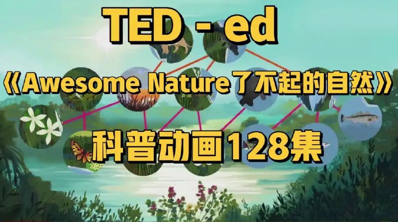 名称：TED-ed系列科普动画《了不起的自然 Awesome Nature》描述：TED-Ed推出的儿童科普动画系列，结合趣味性与知识性，涵盖自然界的多样主题，通过短小精悍的动画激发好奇心，解决孩子“看科普坐不住”的痛点‌