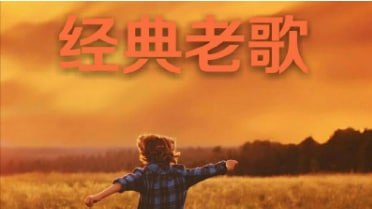 名称：久听不厌经典老歌网易云330万收藏描述：经典老歌，历久弥新，每一首都承载着时代的记忆与情感