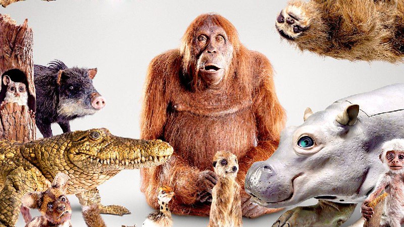 名称：Spy in the Wild描述：BBC纪录片《荒野间谍》(Spy in the Wild)通过仿生机器人(动物间谍摄像机)深入野生动物世界，记录它们的情感、智慧和社会行为