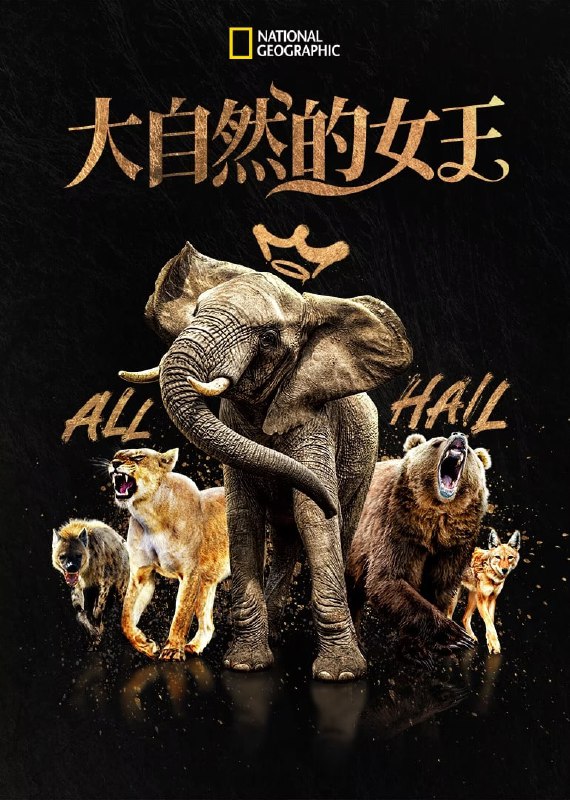 名称：大自然的女王 Queens (2024) 4k国语 更新至5集描述：聚焦于动物界中最具代表性的六个由强势雌性统治的世界