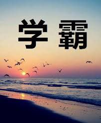 名称：衡水高考状元学霸笔记描述：包含语文、英语、数学等全九科全部知识点梳理，附有目录，方便查找和翻阅