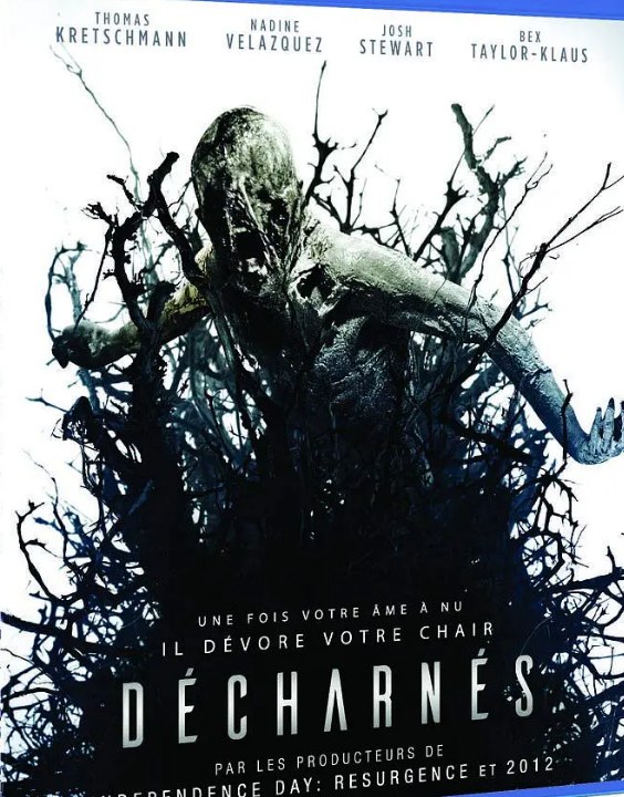 名称：离魂恶魔 Discarnate (2018) 1080 中字 恐怖/剧情描述：一位神经科学家对一种可以扩展人类思维的药物的痴迷无意中在他的团队中释放了一股致命的超自然力量