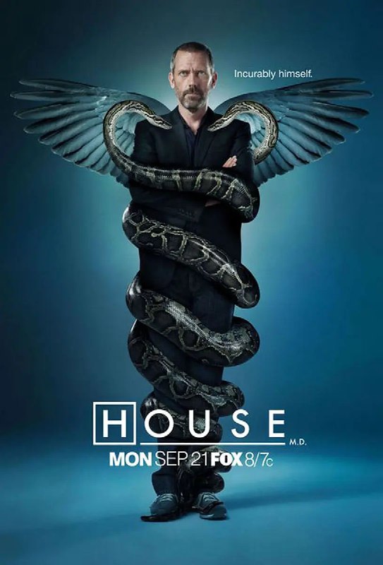 名称：【PrimeVideo版本 英语中字 1080P】豪斯医生 第六季 House M.D. Season 6 (2009)描述：豆瓣评分9.3分