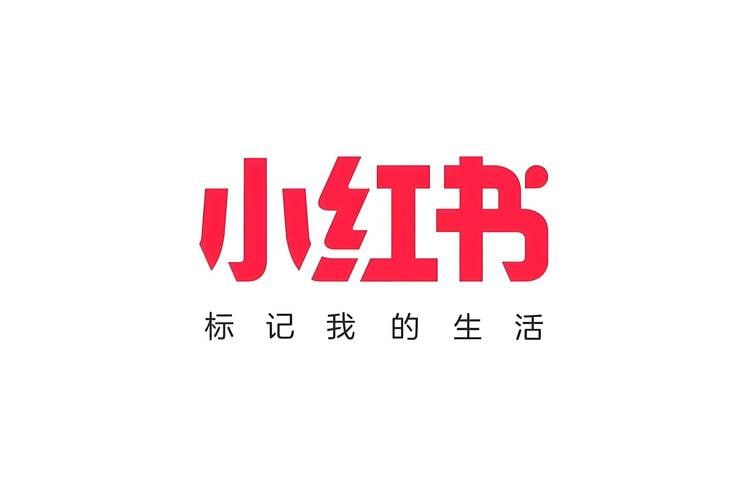 名称：小红书聚光投放基本原理实操描述：《小红书聚光投放基本原理实操》课程专为希望在小红书平台进行精准广告投放的学员设计，涵盖聚光投放的基本原理、广告创意与设计、目标受众分析、投放策略及效果评估等内容