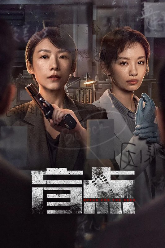 名称：《盲点》(2025)[全24集][1080P][剧情/犯罪][吕晓霖/王禛/王放]描述：在阴沉的蓝港市，女刑警安颖如都市脉搏的守望者，直面着城市的阴暗面