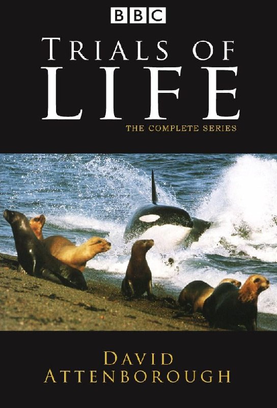 名称：BBC.生命之源 (The Trials of Life) 1990 全12集+花絮 1080p[内嵌中英双字]描述：《BBC生命之源》(The Trials of Life)是1990年由大卫·爱登堡爵士主持的12集里程碑式自然纪录片，作为其经典