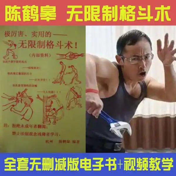 名称：陈鹤皋无限制格斗《 一切为了实战而练》+训练视频描述：陈鹤皋无限制格斗学武先学德，练功必练忍