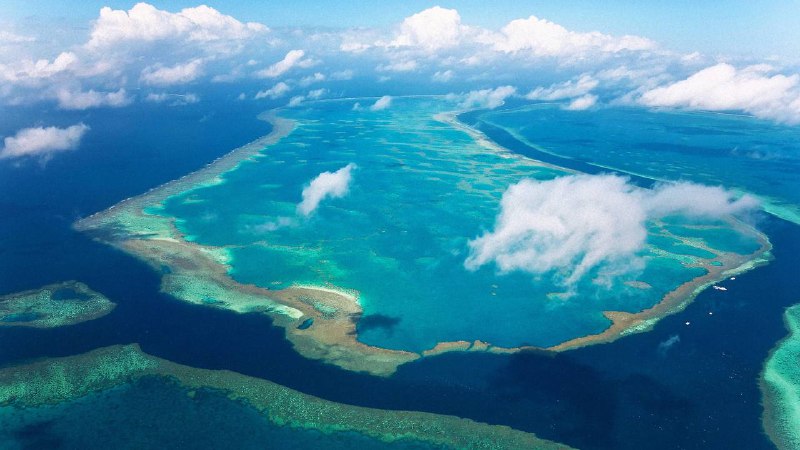 名称：大堡礁(Great Barrier Reef)描述：2012年BBC自然历史部推出的《大堡礁》(Great Barrier Reef)以革命性拍摄技术，首次完整记录这个世界最大生物结构的生态奥秘