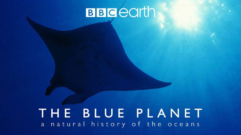名称：The Blue Planet描述：《蓝色星球》The Blue Planet(2001)与《蓝色星球 II》Blue Planet II(2017)是英国广播公司(BBC)自然历史部制作的海洋纪录片系列，由大卫·阿滕伯勒爵士旁白、汉斯·季默配乐