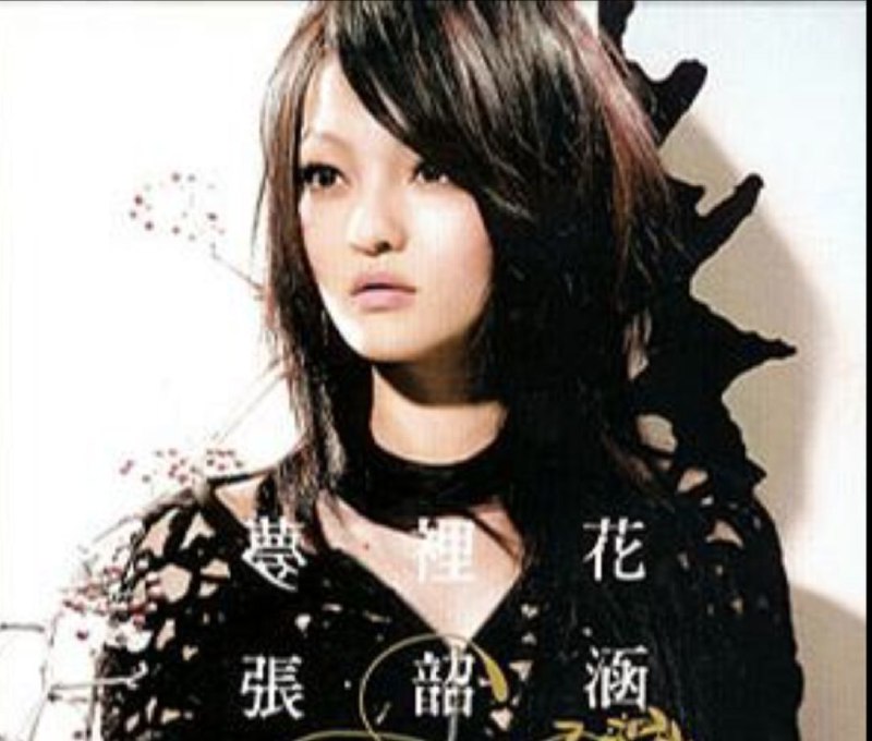 名称：张韶涵 - 2007年专辑 - 梦里花   Flac描述：张韶涵红遍全亚洲的“隐形的翅膀”，俨然已成为华人地区传唱度最高的畅销曲，歌中带给大家向上与安定的力量，更让张韶涵歌声的感染力量，在乐坛展现亮眼成绩