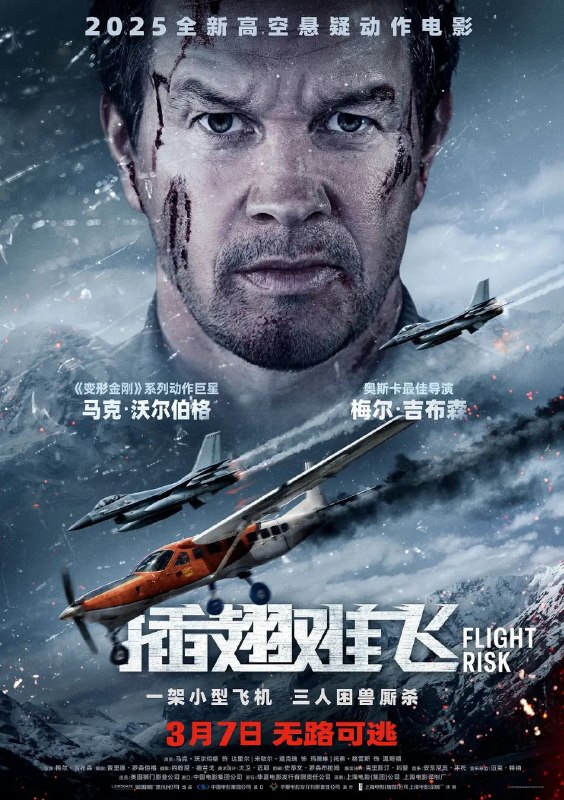 名称：插翅难飞 (2025) 4K HDR 内嵌简中 国英双语描述：万尺高空之中，小型飞机舱内，警察、证人、杀手，三人困兽厮杀