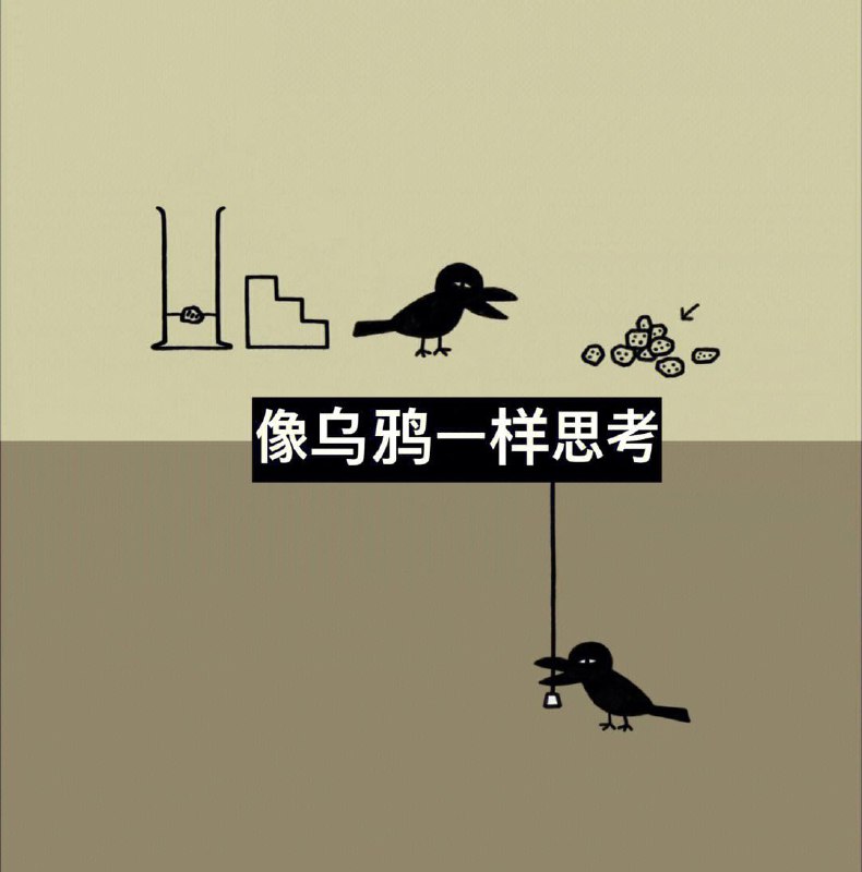 名称：【儿童教育必备】宝藏纪录片《像乌鸦一样思考》 提升孩子思考能力描述：《像乌鸦一样思考》是一部由日本NHK教育频道制作的儿童科教纪录片，由佐藤雅彦执导，苍井优、市原尚弥、斋藤工等人主演