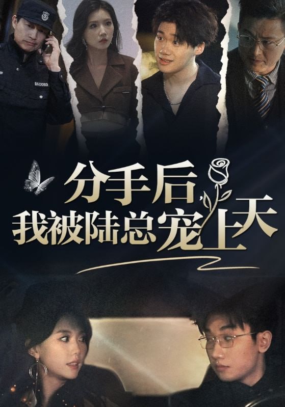 名称：分手后，我被陆总宠上天 - 2024.S01.720p描述：普通女孩沈知涵在男友凌凯母亲的生日宴上被羞辱，之前被她相救的陆明山伪装成保安大叔，替她撑腰