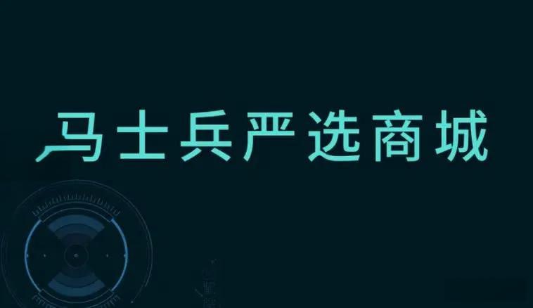 名称：马士兵教育-严选商城项目描述：马士兵教育-严选商城项目，是马士兵教育倾力打造的精品在线教育商城