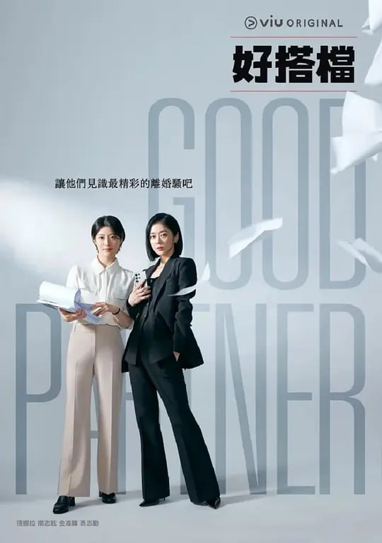 名称：好搭档 굿파트너 (2024) 1080p内封简繁&内嵌中字   更新至06描述：讲述出轨家庭的离婚案件，很真实