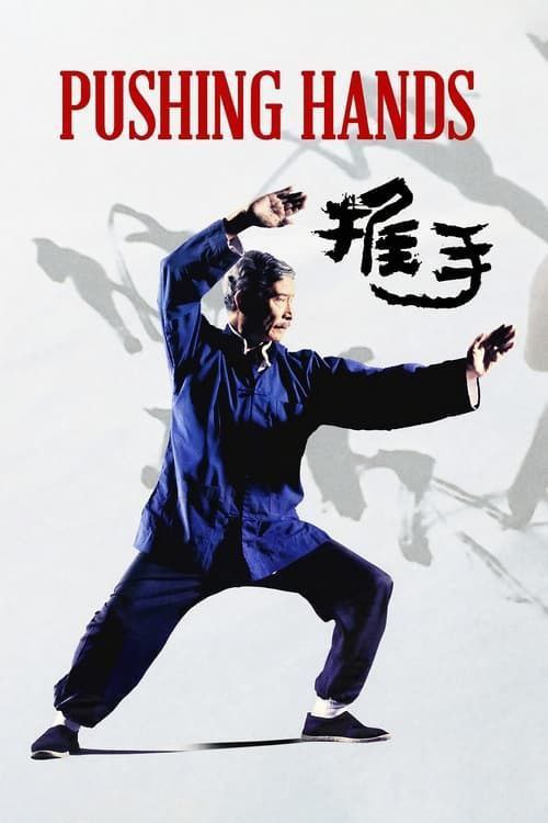 名称：推手 (1992) 1080P 中字内嵌字幕描述：朱晓生在美定居，娶洋女子玛莎为妻并育有一子