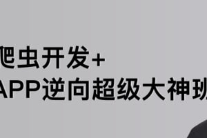 名称：【路飞学城】爬虫开发+APP逆向超级大神班-01期 - 带源码课件描述：这是一套系统的培训教程，适合零基础小白进阶提升，同时也适合缺少实战经验的应届大学生学习